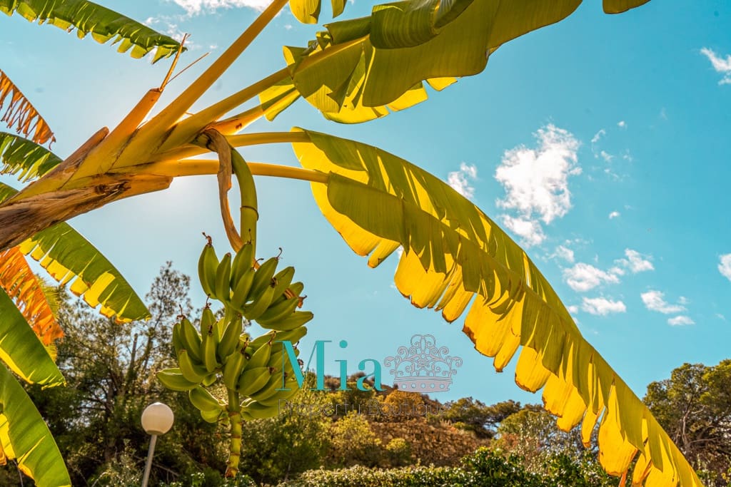 1 slaapkamer Appartement te huur in La Villajoyosa / Vila Joiosa met zwembad - € 1.000 (Ref: 9189809)