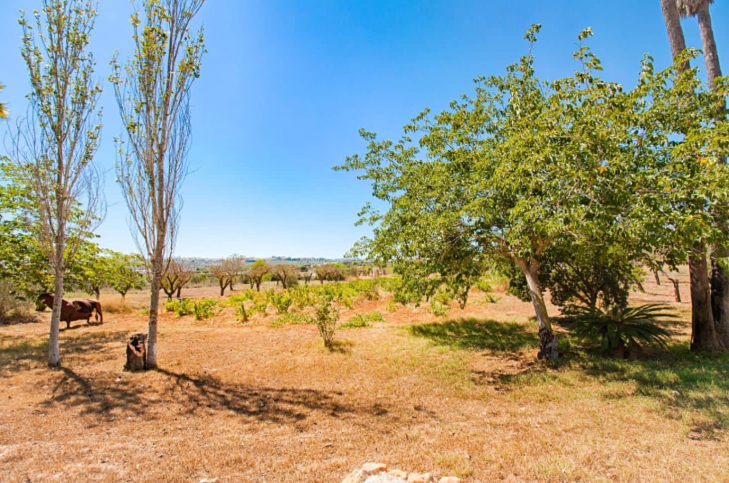 3 soverom Finca/Herregård til salgs i Senija med svømmebasseng garasje - € 1 295 000 (Ref: 8465459)