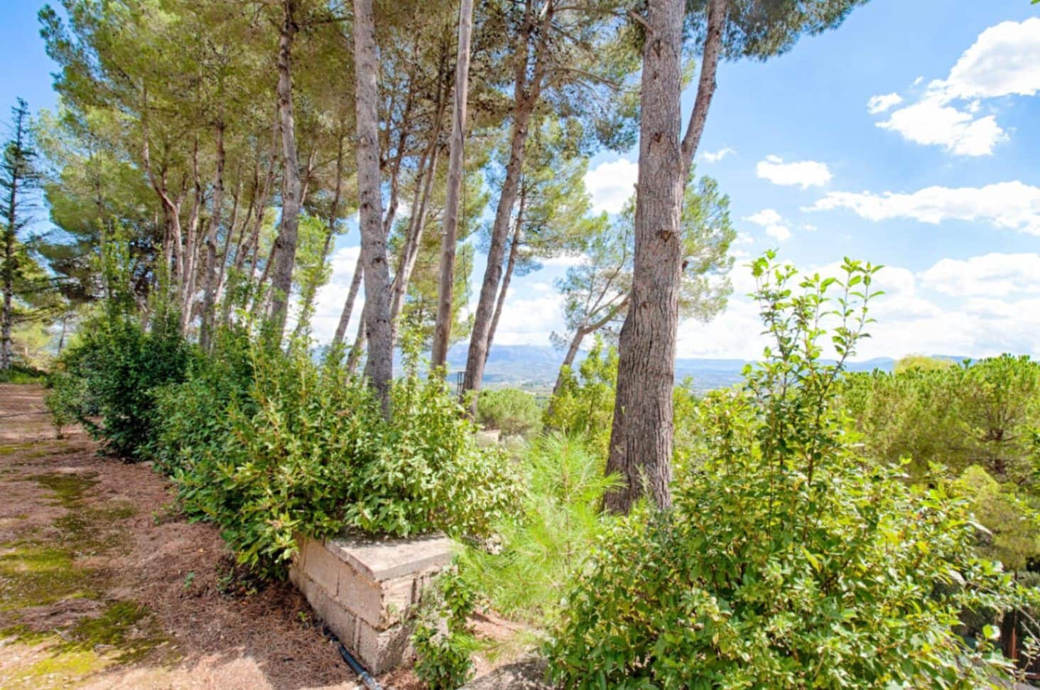 4 soveværelse Finca/Landehus til salg i Turballos med swimmingpool - € 590.000 (Ref: 8891444)