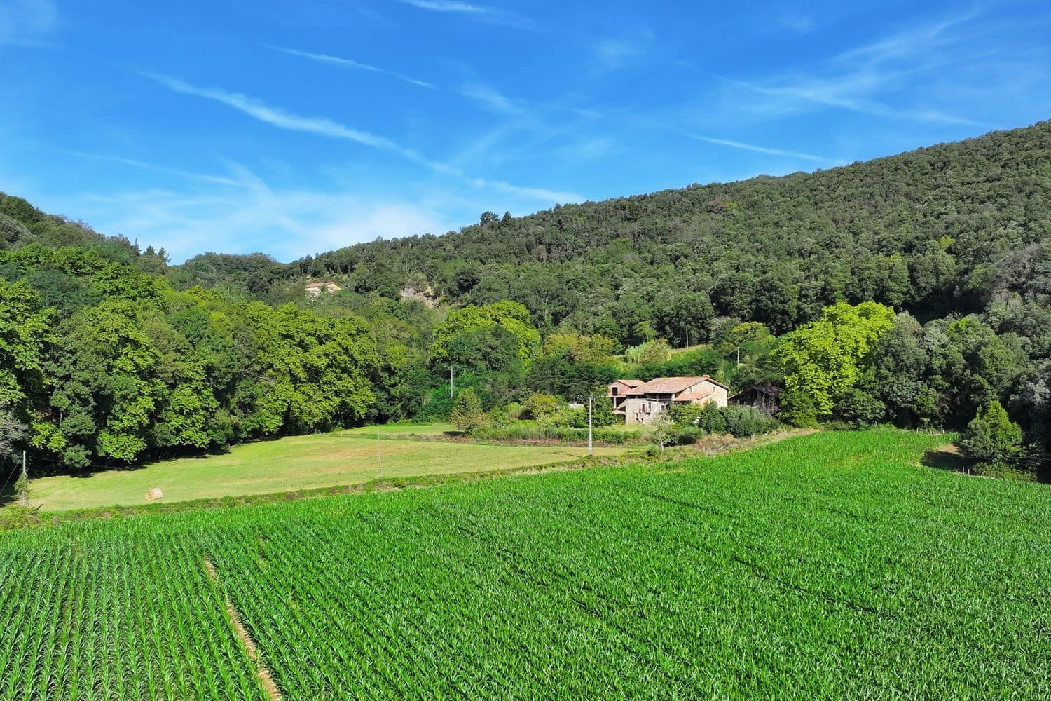 7 chambre Finca/Maison de Campagne à vendre à Santa Pau avec piscine garage - 450 000 € (Ref: 6098502)
