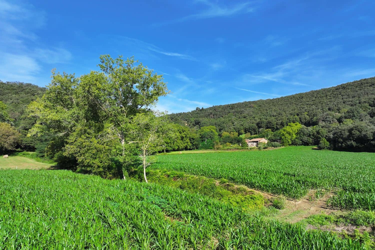 7 chambre Finca/Maison de Campagne à vendre à Santa Pau avec piscine garage - 450 000 € (Ref: 6098502)