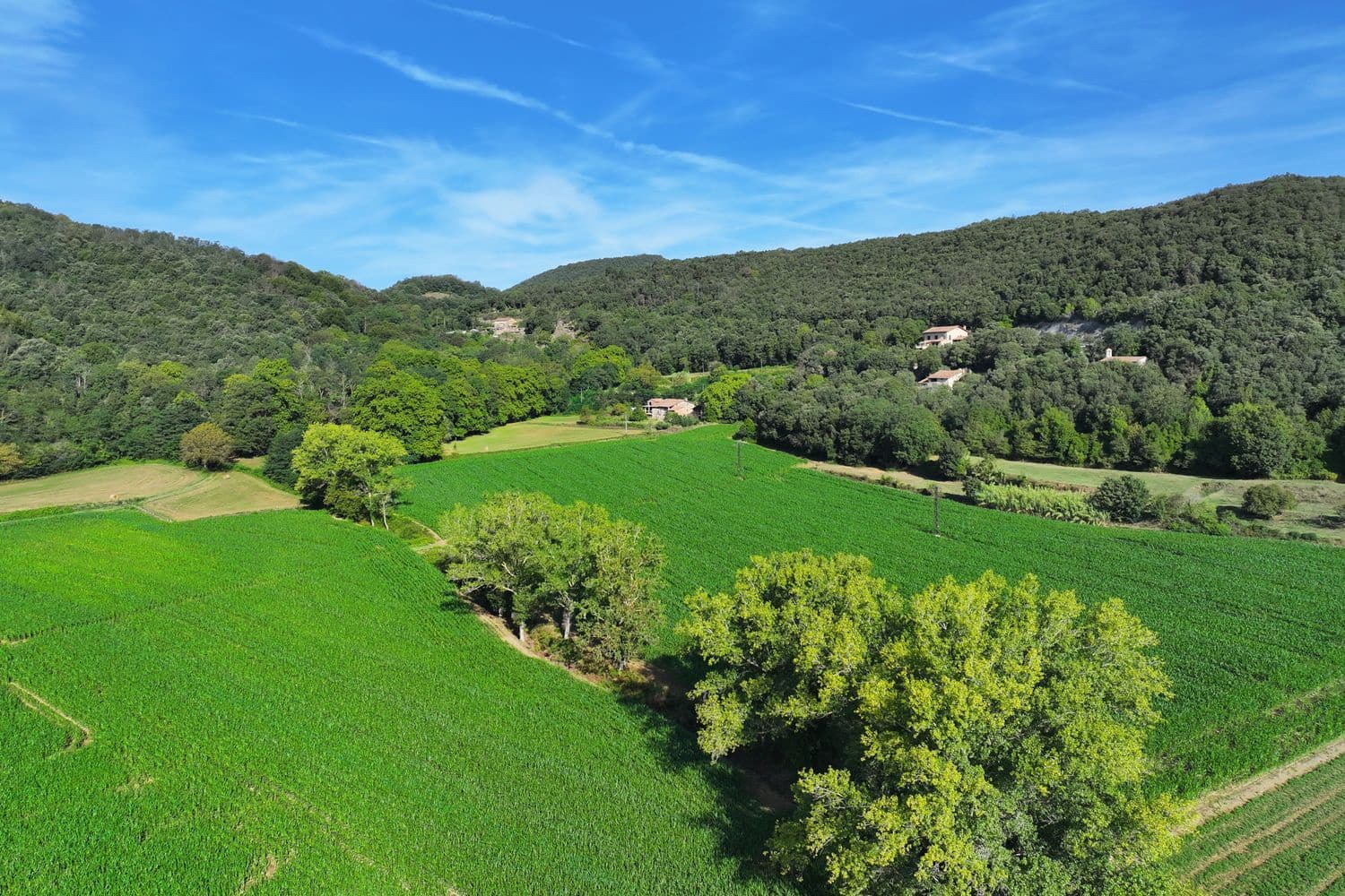 7 chambre Finca/Maison de Campagne à vendre à Santa Pau avec piscine garage - 450 000 € (Ref: 6098502)