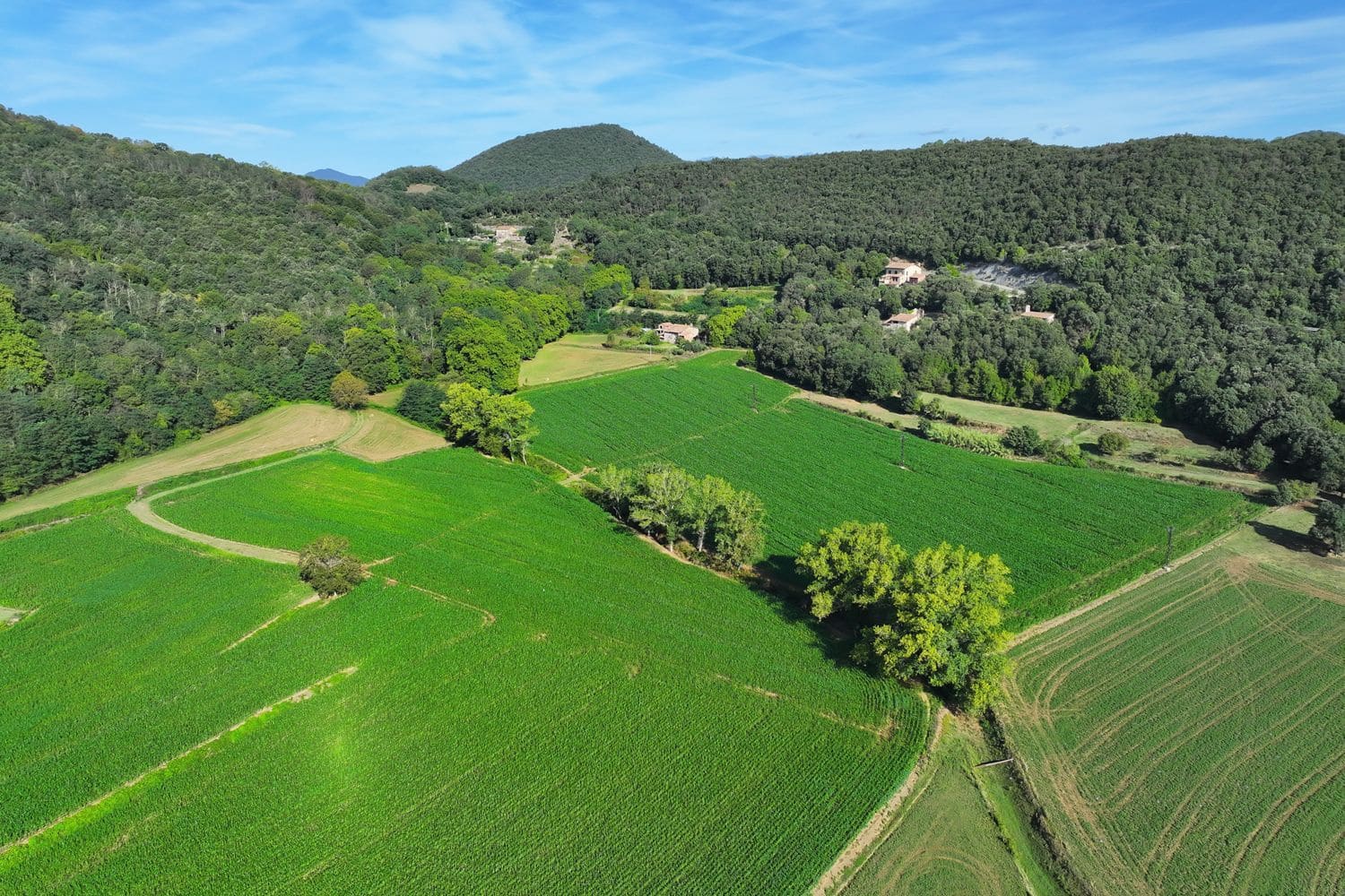 7 chambre Finca/Maison de Campagne à vendre à Santa Pau avec piscine garage - 450 000 € (Ref: 6098502)