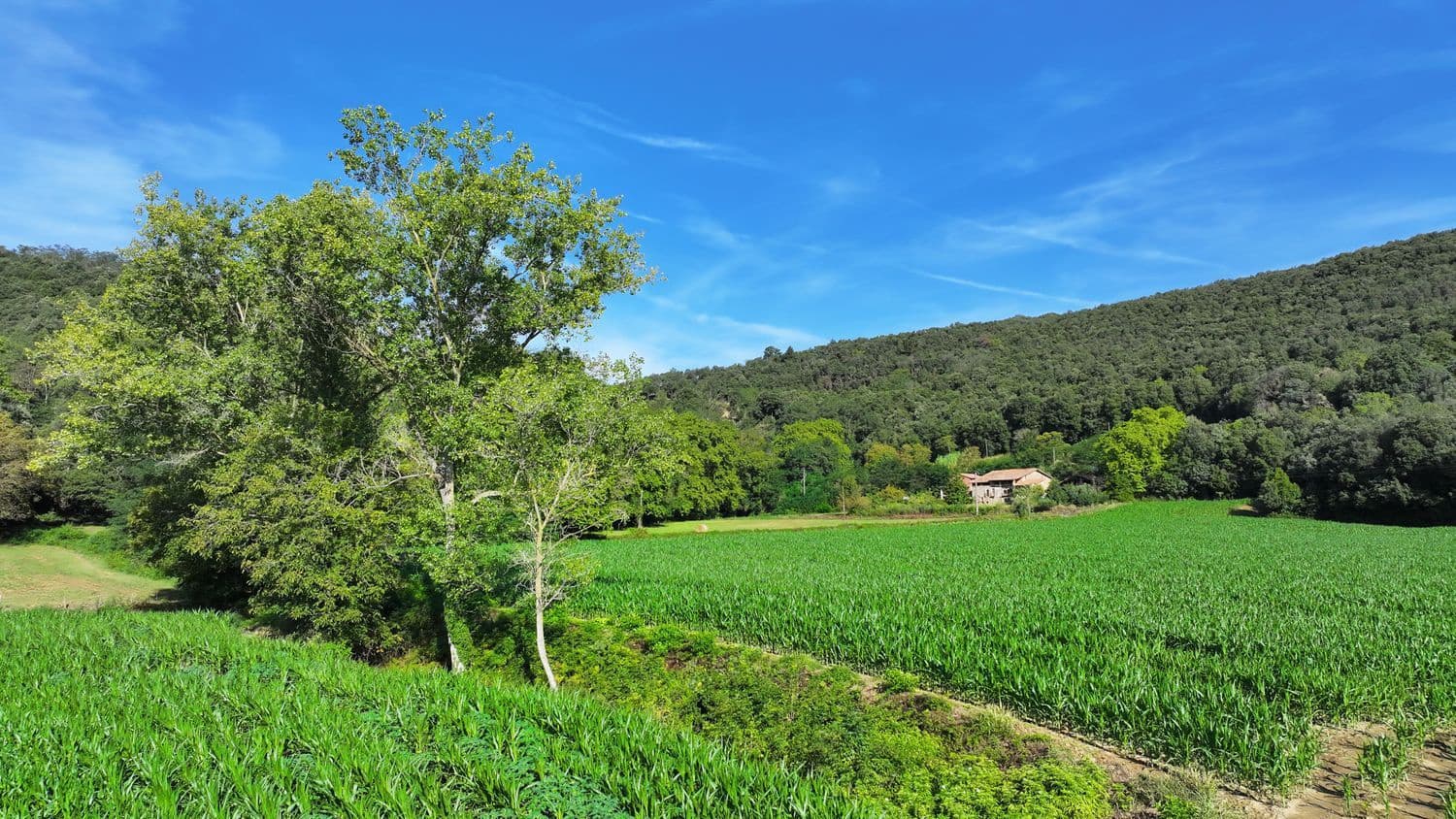 7 chambre Finca/Maison de Campagne à vendre à Santa Pau avec piscine garage - 450 000 € (Ref: 6098502)