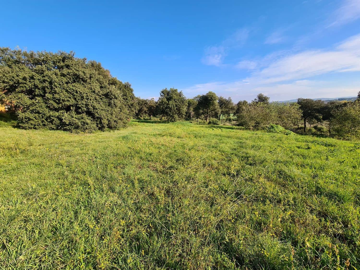 6 sypialnia Finka/Dom wiejski na sprzedaż w Foixa z garażem - 1 990 000 € (Ref: 7278007)