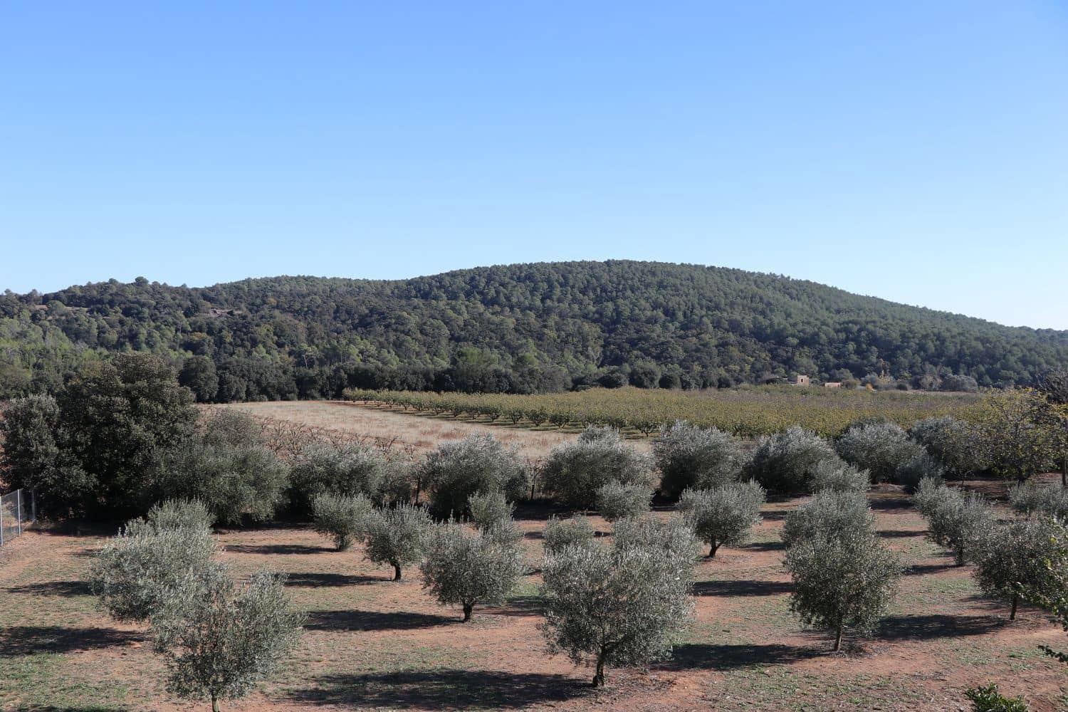 3 Zimmer Finca/Landgut zu verkaufen in Cistella mit Garage - 490.000 € (Ref: 9981297)