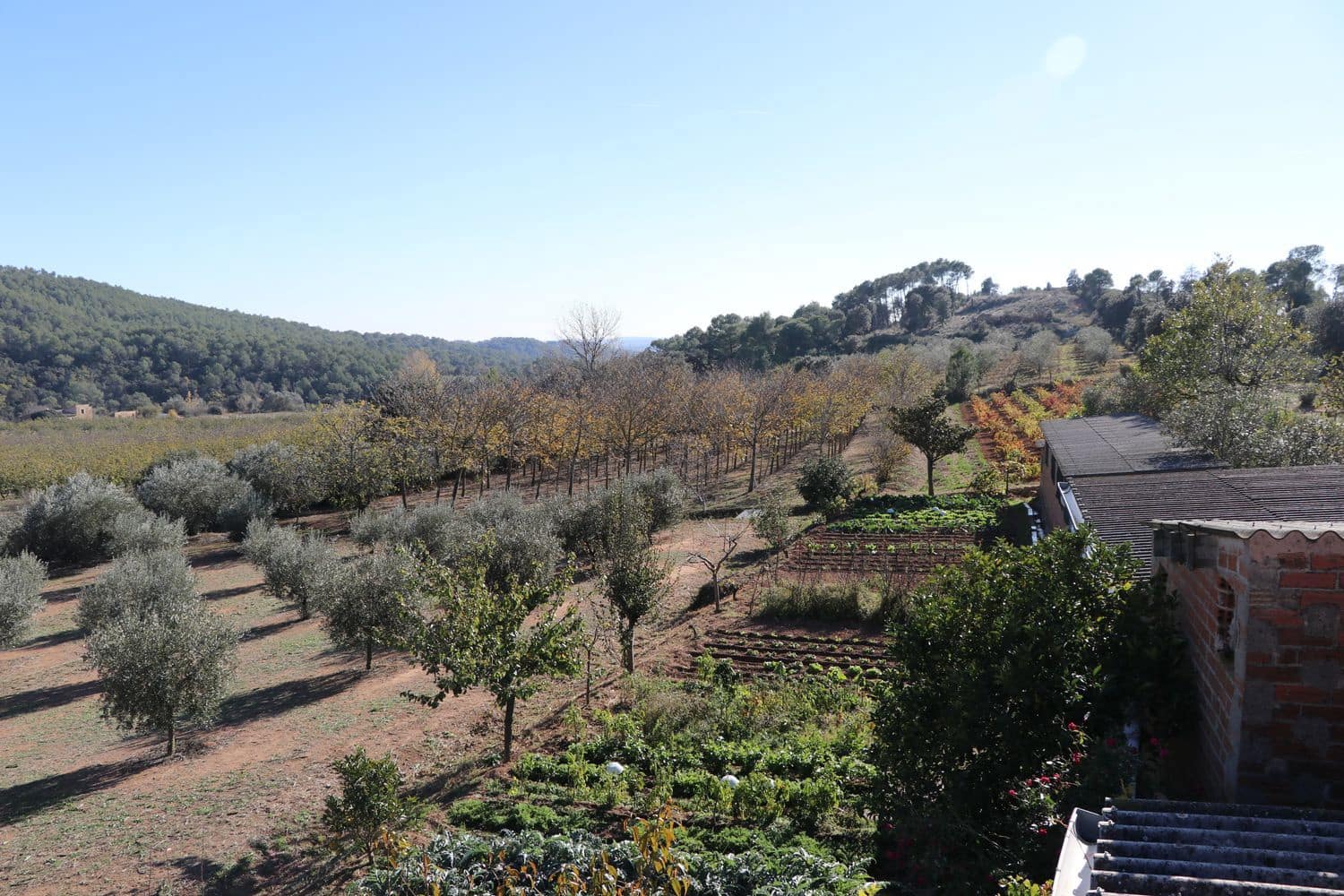 3 Zimmer Finca/Landgut zu verkaufen in Cistella mit Garage - 490.000 € (Ref: 9981297)