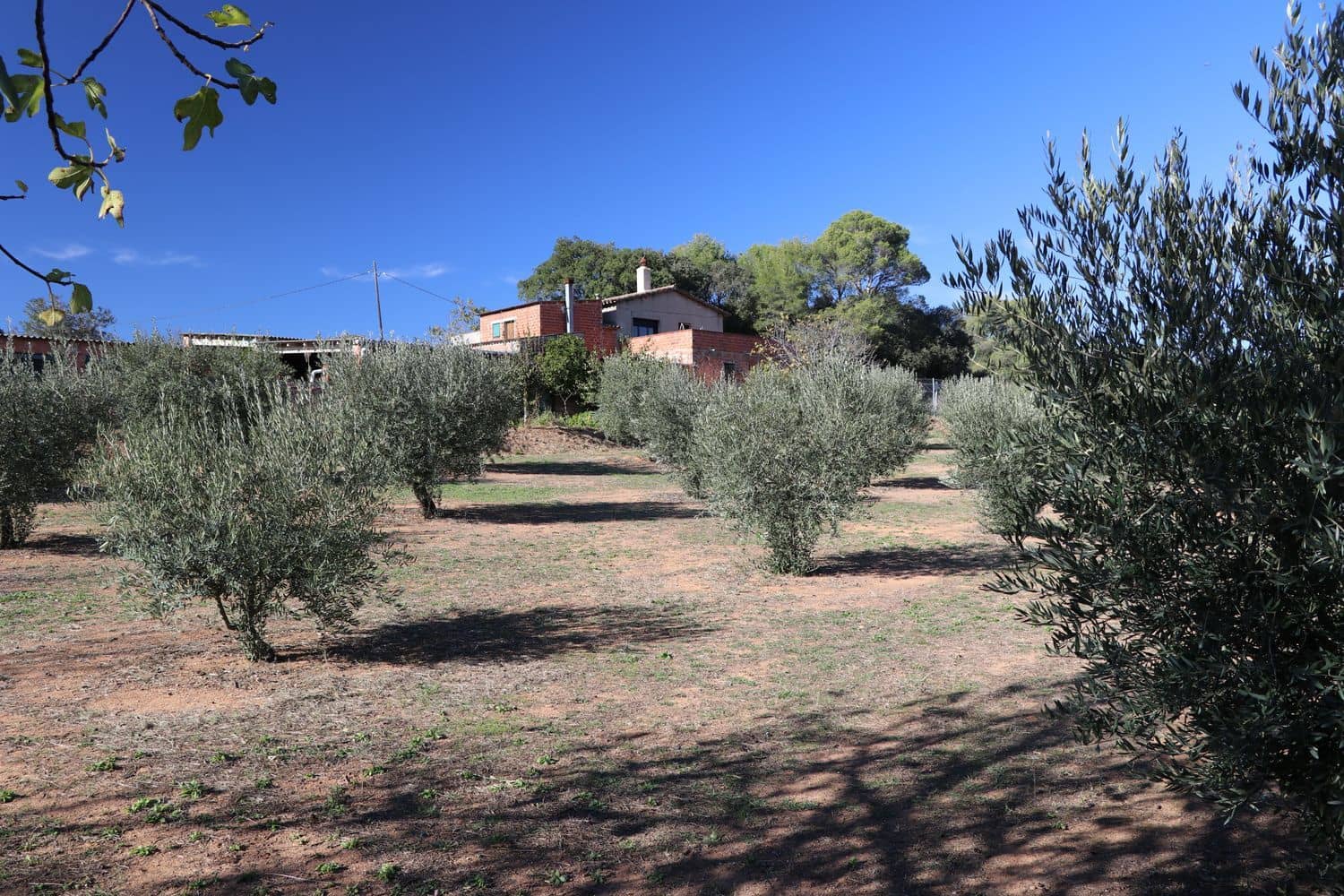 3 Zimmer Finca/Landgut zu verkaufen in Cistella mit Garage - 490.000 € (Ref: 9981297)