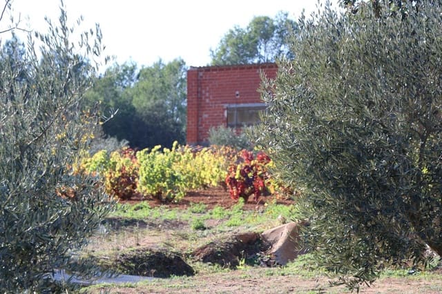 3 Zimmer Finca/Landgut zu verkaufen in Cistella mit Garage - 490.000 € (Ref: 9981297)