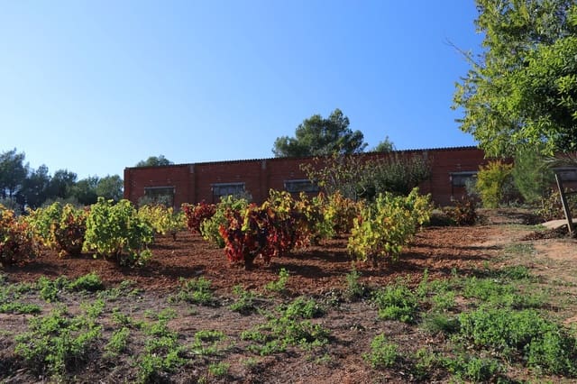 3 Zimmer Finca/Landgut zu verkaufen in Cistella mit Garage - 490.000 € (Ref: 9981297)