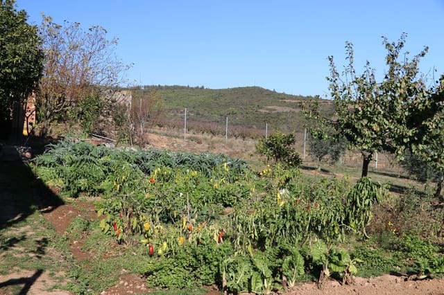 3 Zimmer Finca/Landgut zu verkaufen in Cistella mit Garage - 490.000 € (Ref: 9981297)