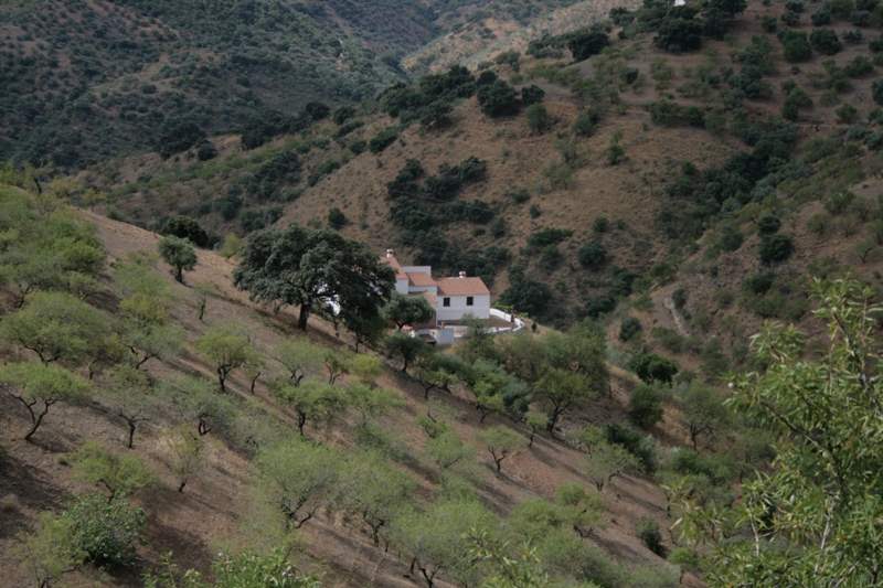 4 camera da letto Finca/Casa di Campagna in vendita in Colmenar con piscina - 250.000 € (Rif: 3002454)