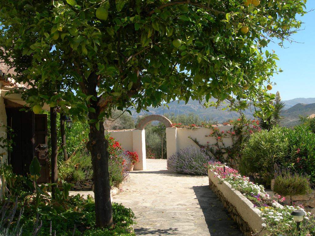 6 sypialnia Finka/Dom wiejski na sprzedaż w Riogordo z basenem - 695 000 € (Ref: 3316410)