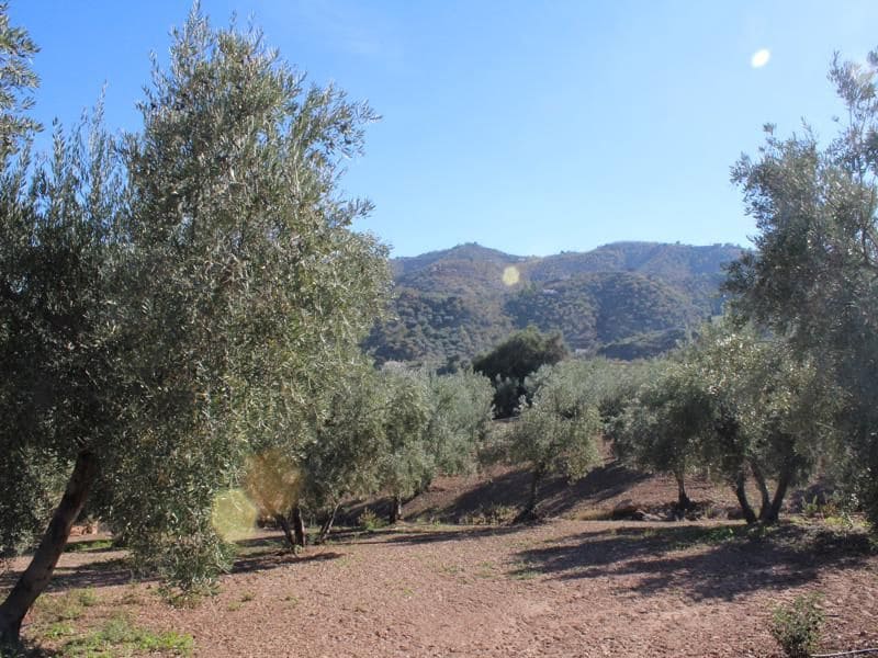 3 soveværelse Finca/Landehus til salg i Colmenar med swimmingpool garage - € 750.000 (Ref: 5824479)