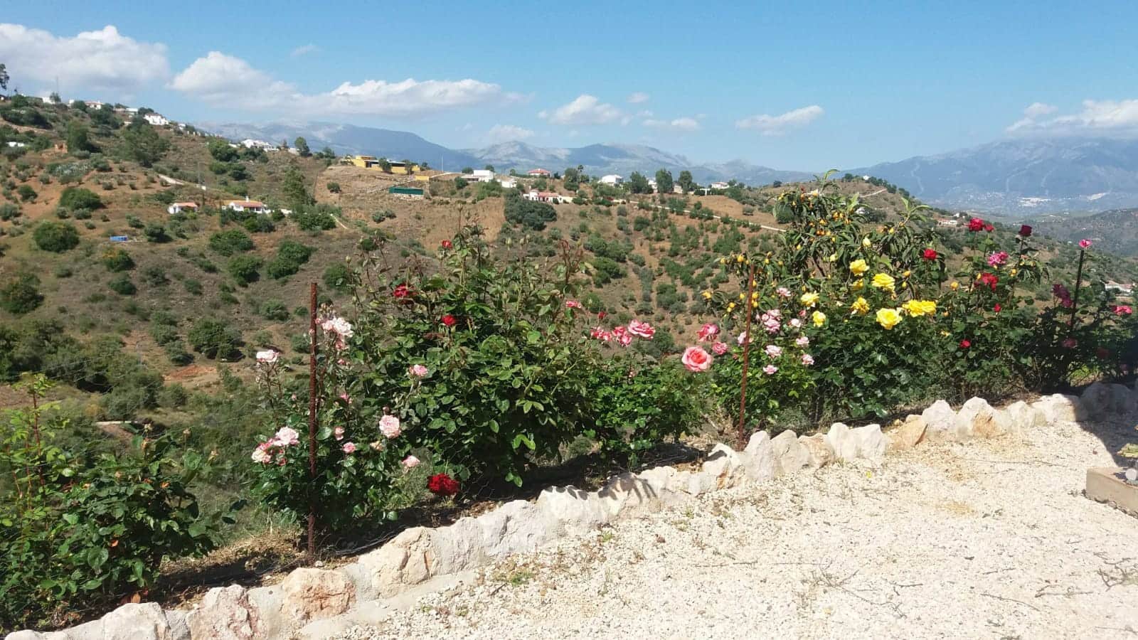 6 camera da letto Finca/Casa di Campagna in vendita in Colmenar con piscina - 456.000 € (Rif: 5998917)