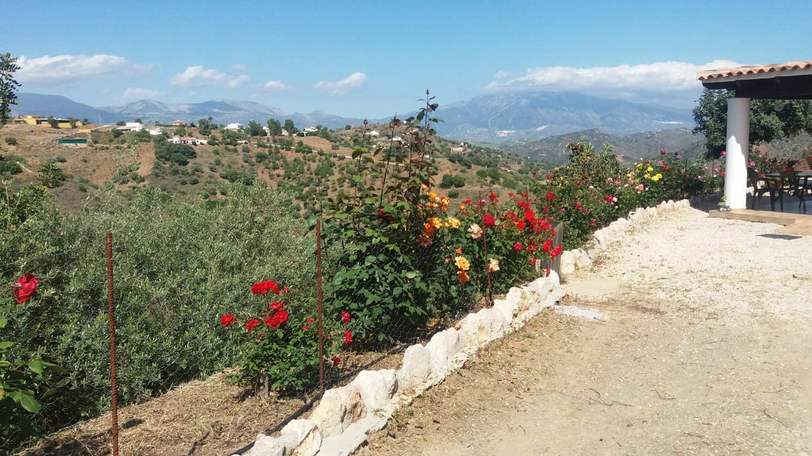 6 camera da letto Finca/Casa di Campagna in vendita in Colmenar con piscina - 456.000 € (Rif: 5998917)