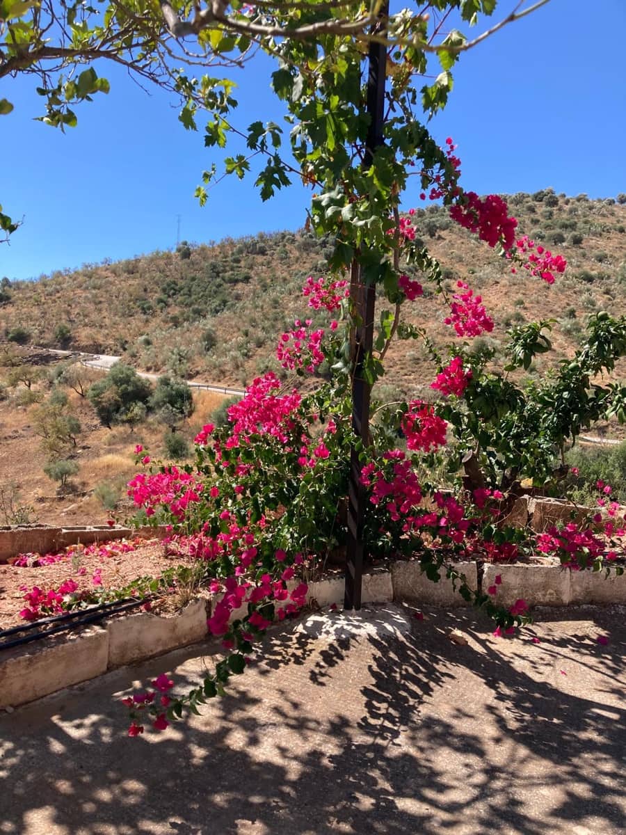 3 makuuhuone Maalaistalo vuokrattavana paikassa Casabermeja mukana uima-altaan 
autotalli - 1 390 € (Ref: 6796470)