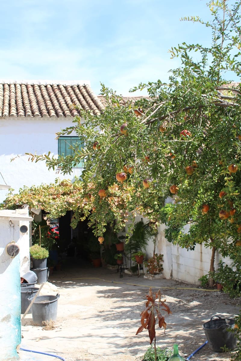 6 quarto Casa em Banda para venda em Alameda com garagem - 128 000 € (Ref: 7277251)