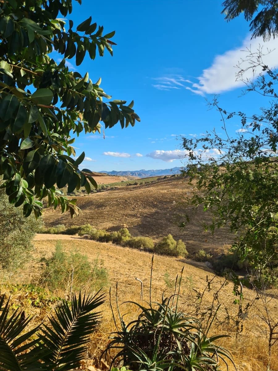 3 bedroom Finca/Country House for sale in Pizarra with pool - € 590,000 (Ref: 7342002)