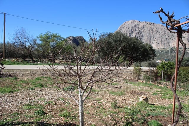 2 soverom Bungalow til salgs i Alfarnatejo - € 154 000 (Ref: 8130264)