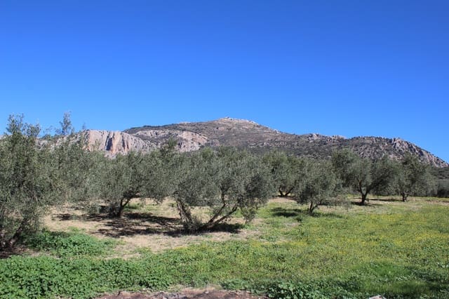 5 soverom Finca/Herregård til salgs i Alfarnatejo med garasje - € 318 000 (Ref: 8135783)