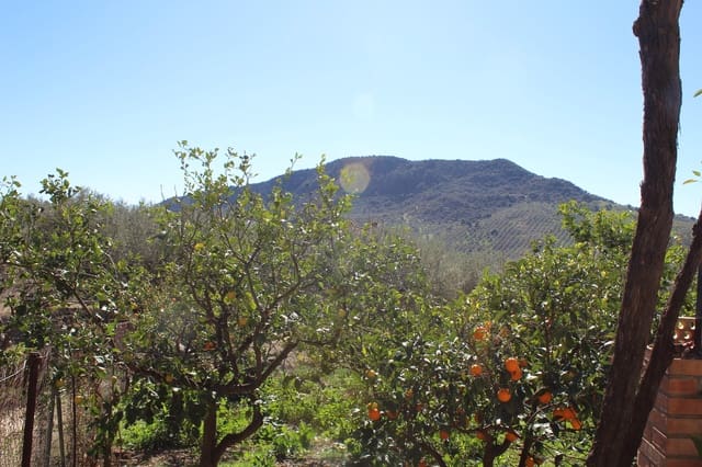 5 soverom Finca/Herregård til salgs i Alfarnatejo med garasje - € 318 000 (Ref: 8135783)