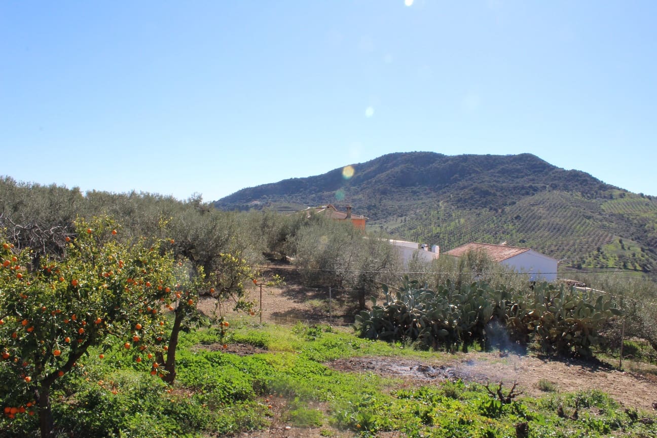 5 soveværelse Finca/Landehus til salg i Alfarnatejo med garage - € 318.000 (Ref: 8135783)