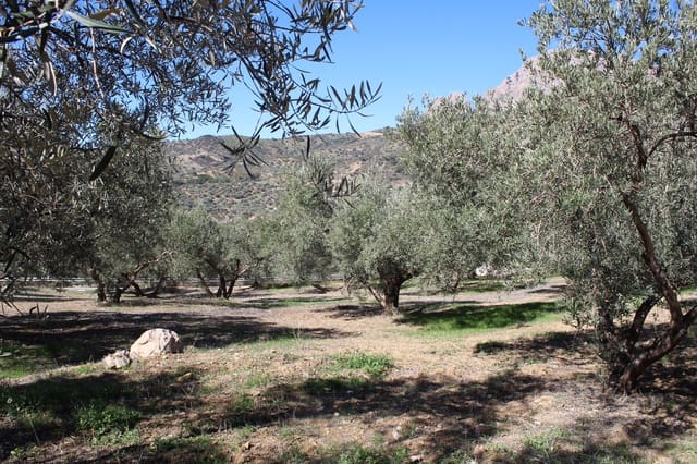 5 soverom Finca/Herregård til salgs i Alfarnatejo med garasje - € 318 000 (Ref: 8135783)