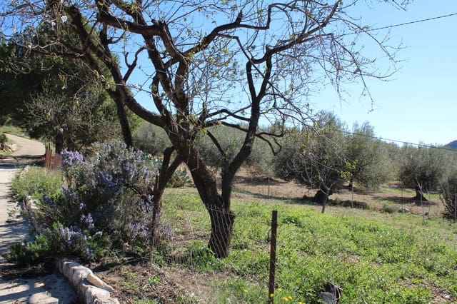 5 soverom Finca/Herregård til salgs i Alfarnatejo med garasje - € 318 000 (Ref: 8135783)