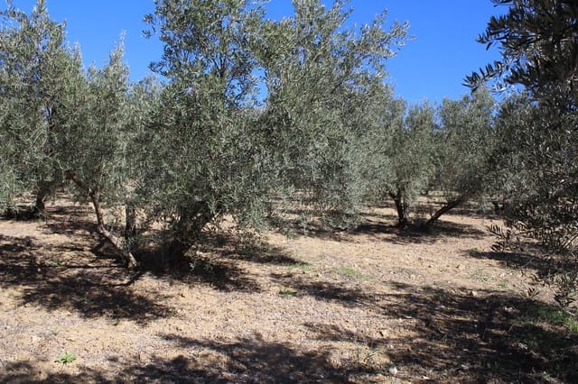 5 soverom Finca/Herregård til salgs i Alfarnatejo med garasje - € 318 000 (Ref: 8135783)