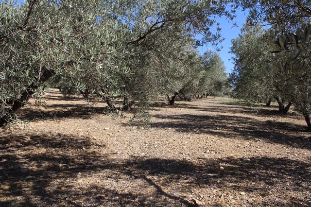 5 soverom Finca/Herregård til salgs i Alfarnatejo med garasje - € 318 000 (Ref: 8135783)