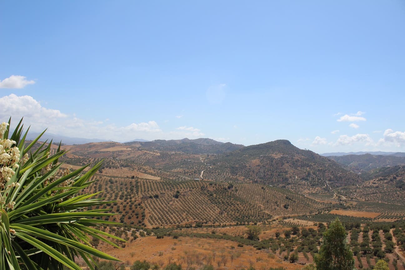 7 soveværelse Finca/Landehus til salg i Almachar med swimmingpool garage - € 1.000.000 (Ref: 8541326)