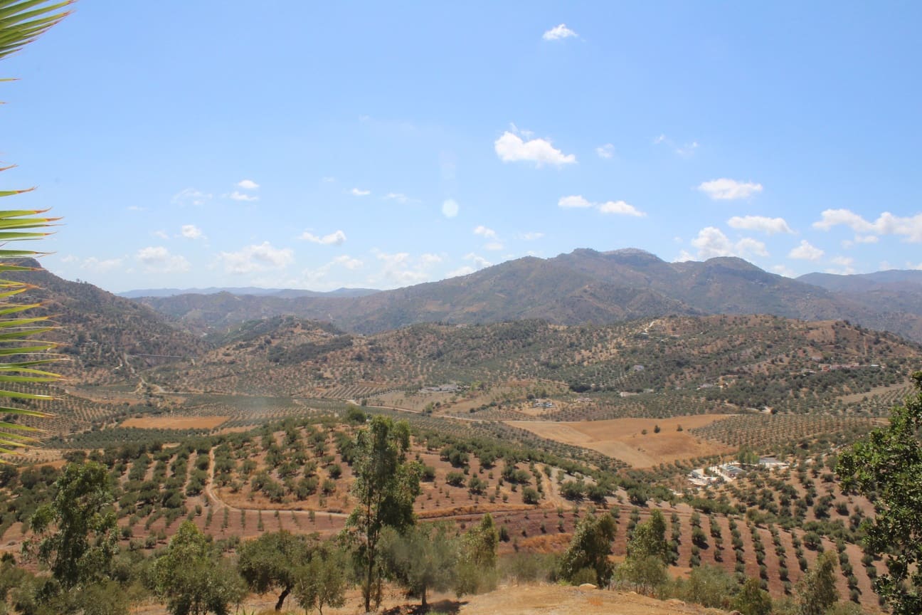 7 soveværelse Finca/Landehus til salg i Almachar med swimmingpool garage - € 1.000.000 (Ref: 8541326)