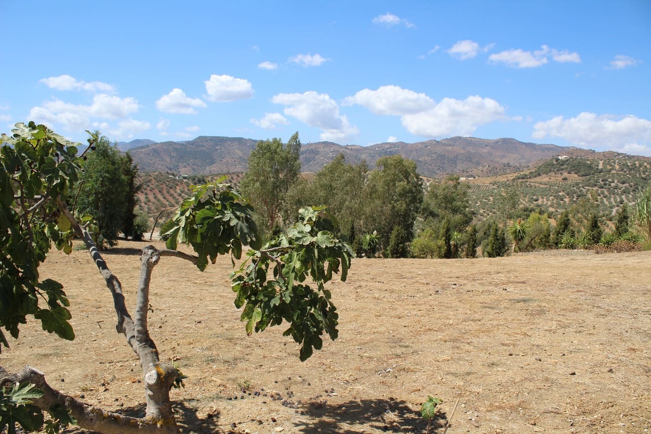 7 soveværelse Finca/Landehus til salg i Almachar med swimmingpool garage - € 1.000.000 (Ref: 8541326)