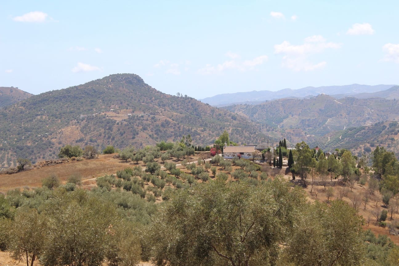 7 soveværelse Finca/Landehus til salg i Almachar med swimmingpool garage - € 1.000.000 (Ref: 8541326)