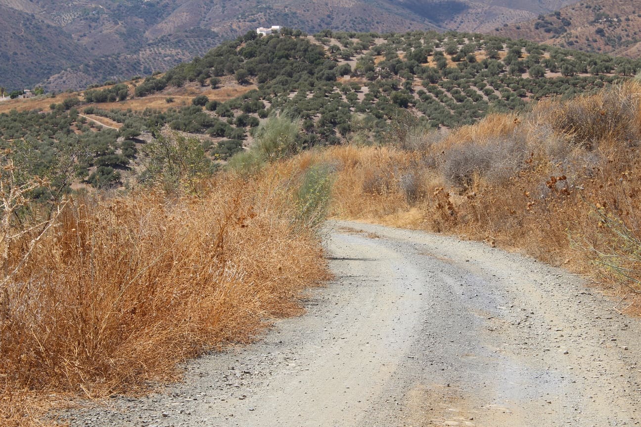 7 soveværelse Finca/Landehus til salg i Almachar med swimmingpool garage - € 1.000.000 (Ref: 8541326)