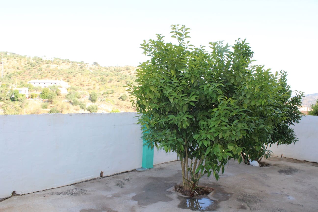 4 soveværelse Lejlighed til salg i Riogordo - € 132.500 (Ref: 8577251)