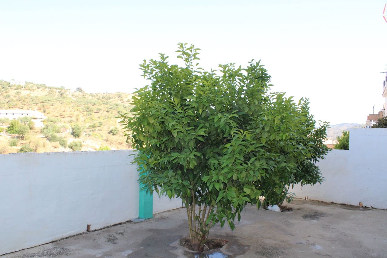 4 soveværelse Lejlighed til salg i Riogordo - € 132.500 (Ref: 8577251)