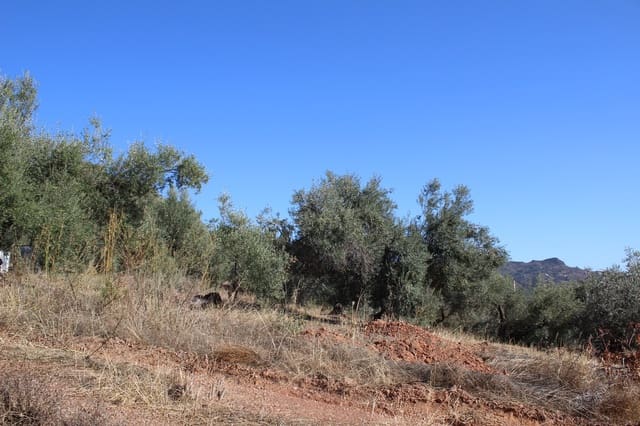 2 soverom Bungalow til salgs i Colmenar - € 170 000 (Ref: 9388418)