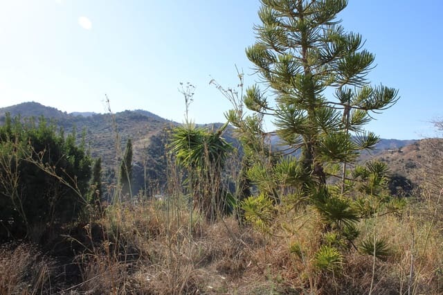 2 soverom Bungalow til salgs i Colmenar - € 170 000 (Ref: 9388418)