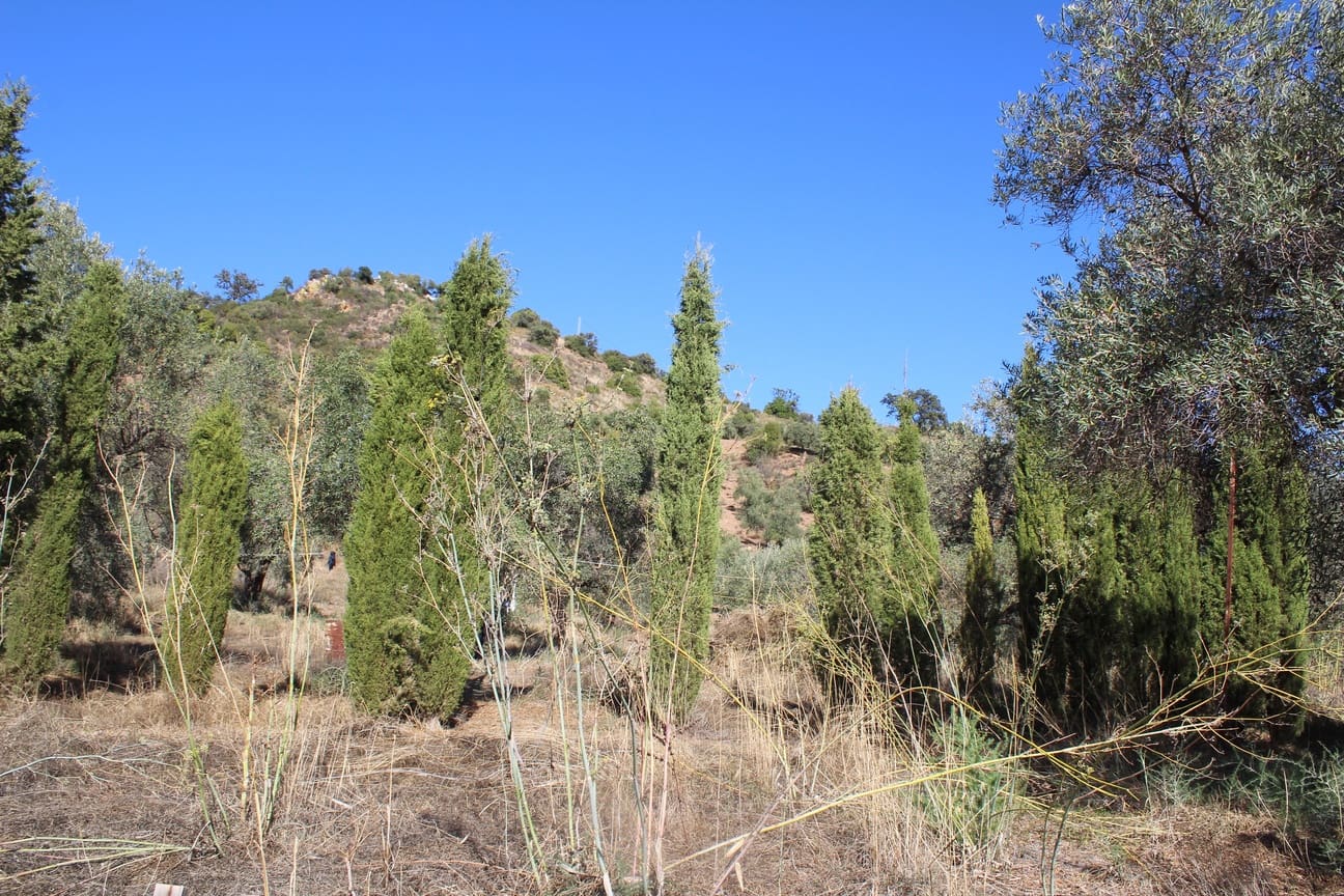 2 soverom Bungalow til salgs i Colmenar - € 170 000 (Ref: 9388418)