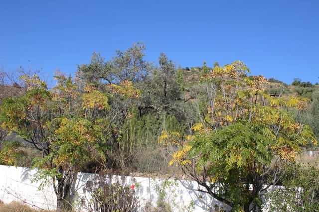 2 soverom Bungalow til salgs i Colmenar - € 170 000 (Ref: 9388418)