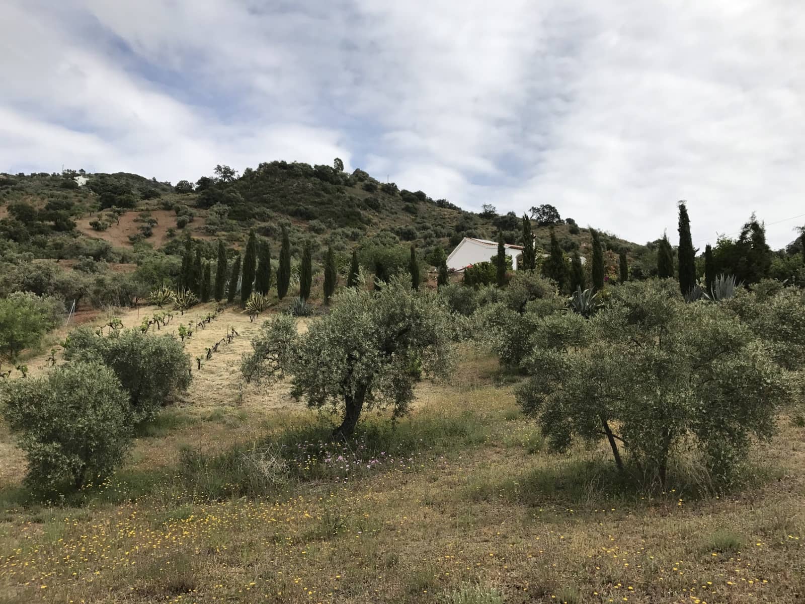 2 soverom Bungalow til salgs i Colmenar - € 170 000 (Ref: 9388418)