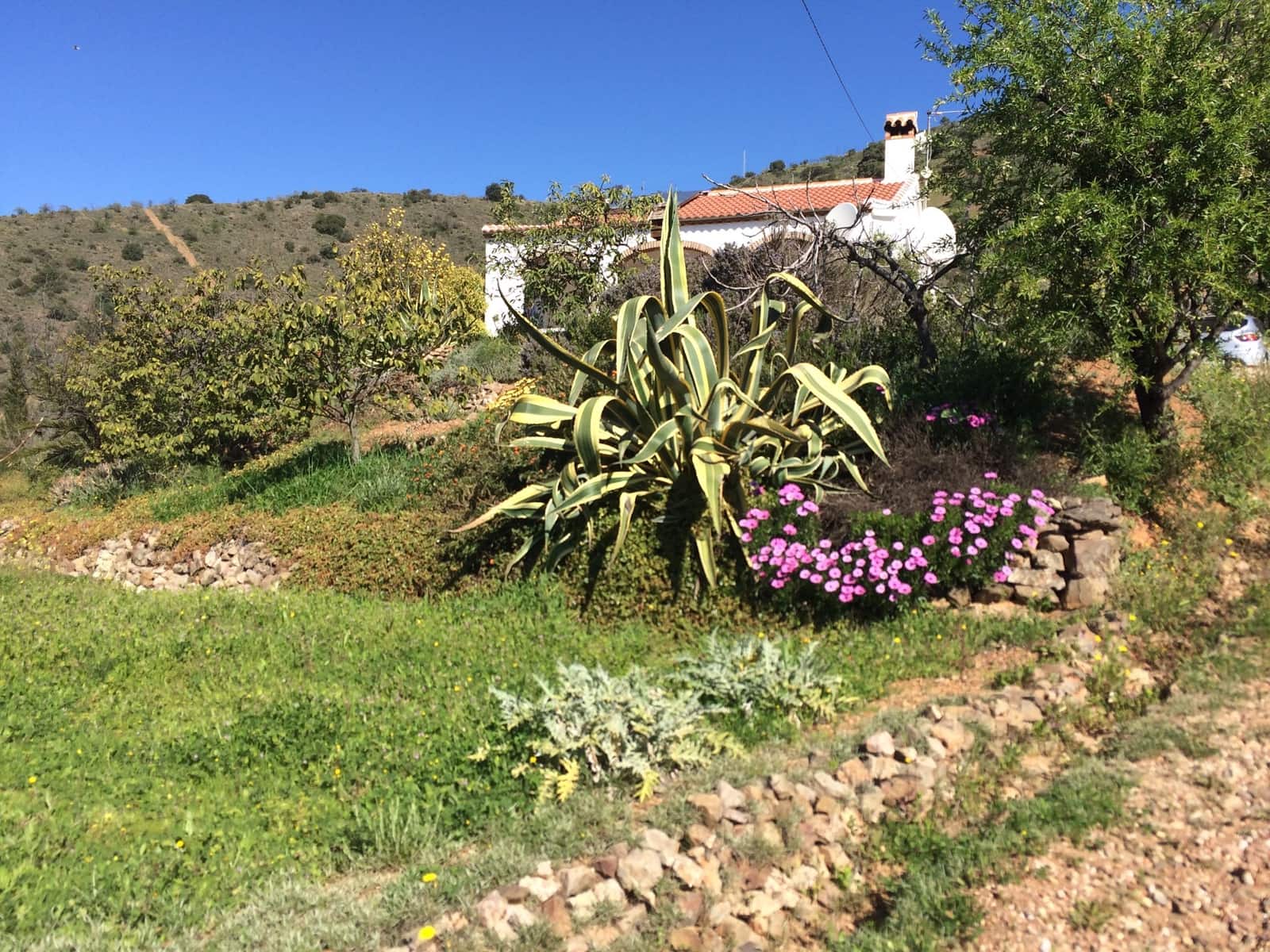 2 soverom Bungalow til salgs i Colmenar - € 170 000 (Ref: 9388418)