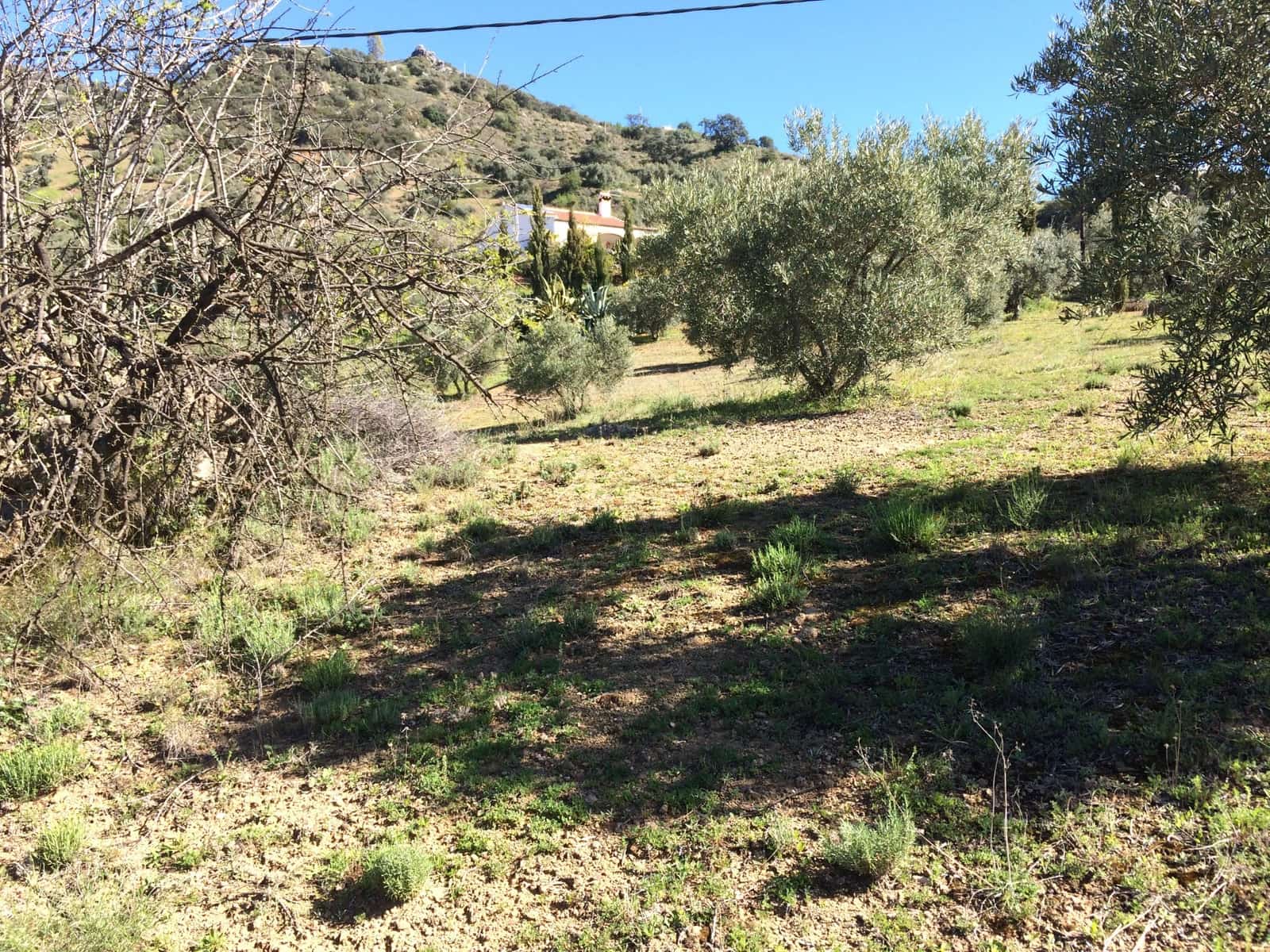 2 soverom Bungalow til salgs i Colmenar - € 170 000 (Ref: 9388418)