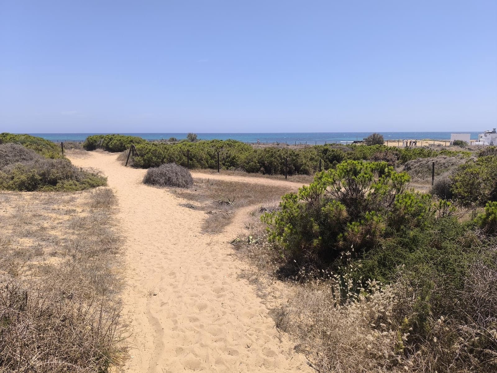 2 sovrum Lägenhet till salu i La Mata med pool - 172 900 € (Ref: 9246083)