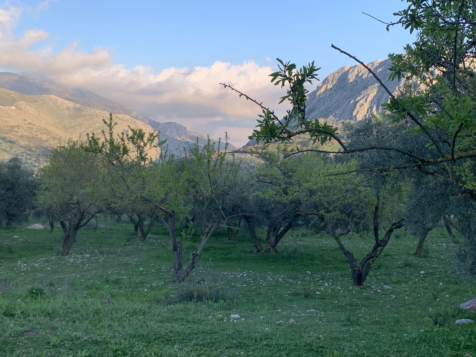 1 bedroom Finca/Country House for sale in Alfarnatejo with garage - € 92,900 (Ref: 9558838)