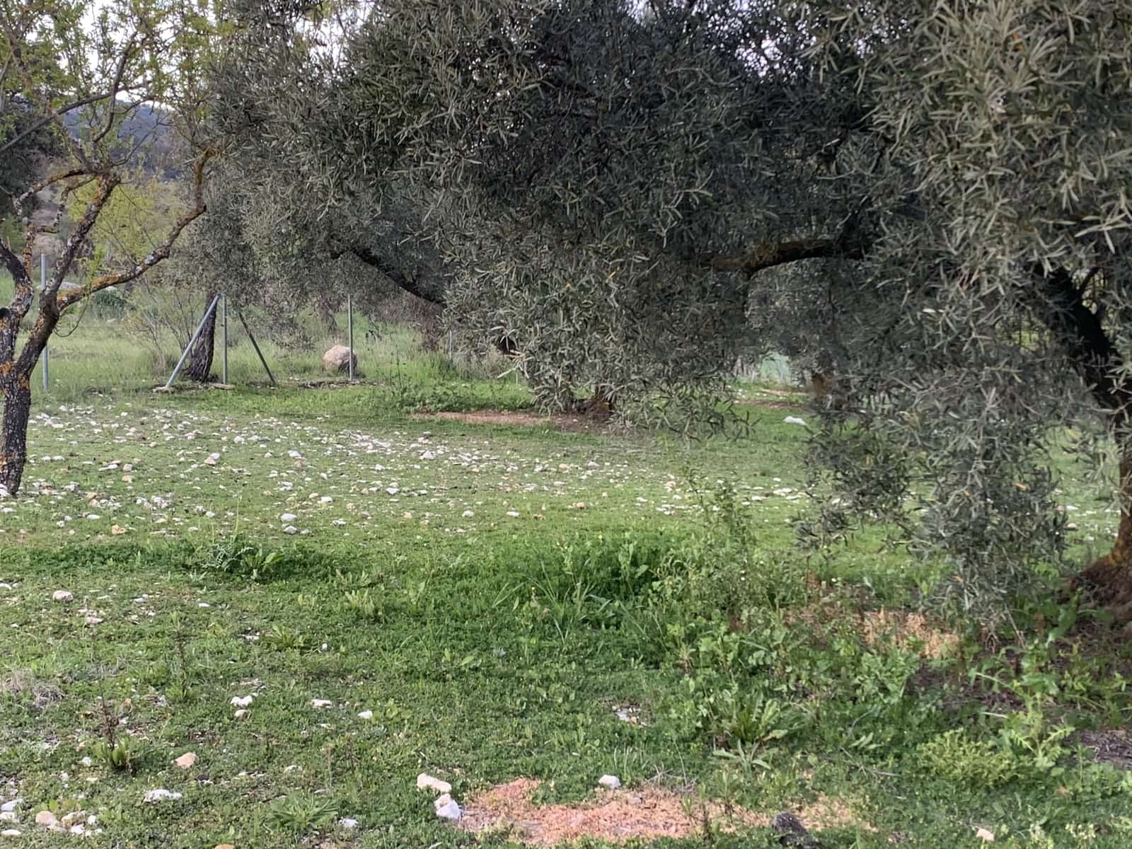 1 bedroom Finca/Country House for sale in Alfarnatejo with garage - € 92,900 (Ref: 9558838)