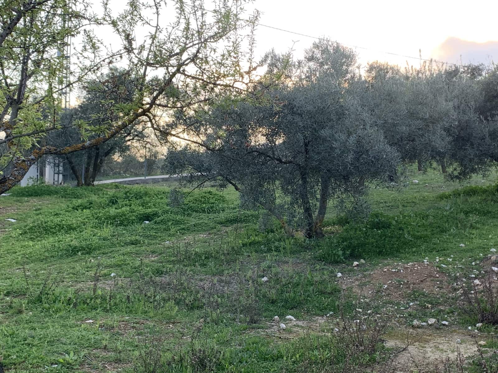 1 bedroom Finca/Country House for sale in Alfarnatejo with garage - € 92,900 (Ref: 9558838)