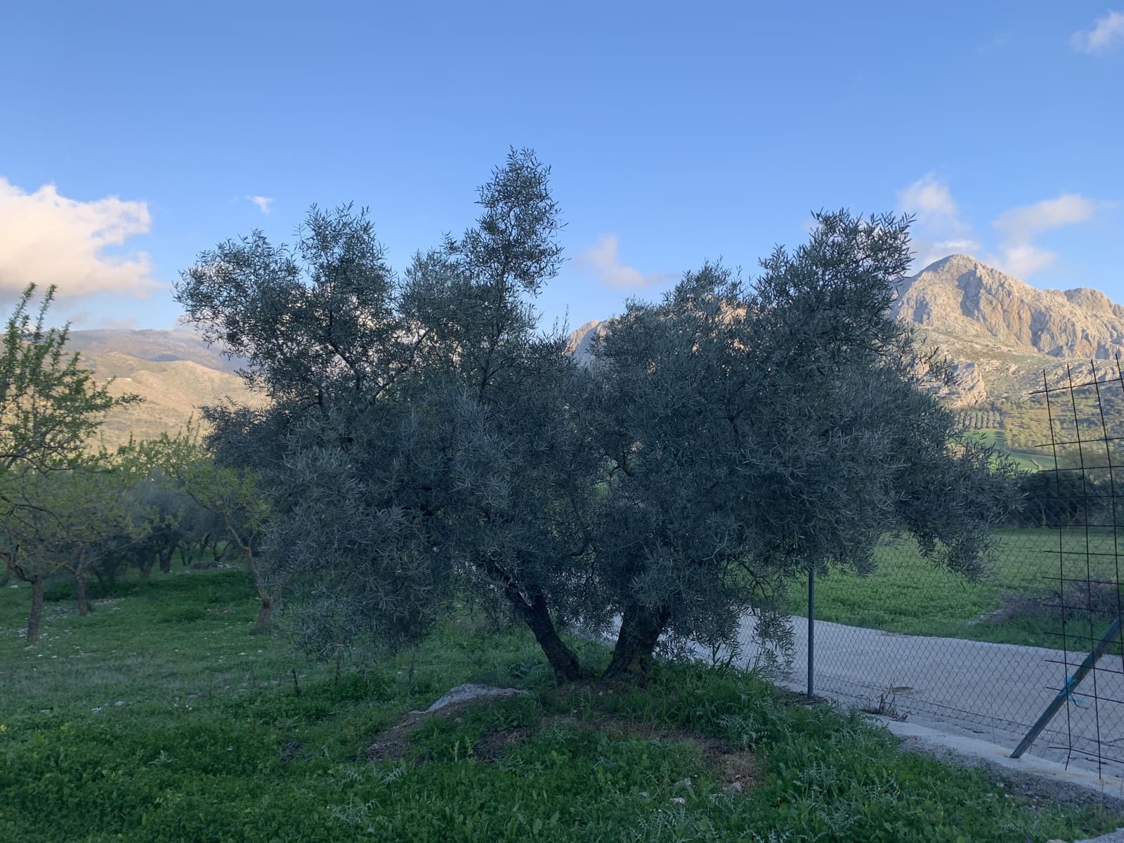 1 bedroom Finca/Country House for sale in Alfarnatejo with garage - € 92,900 (Ref: 9558838)